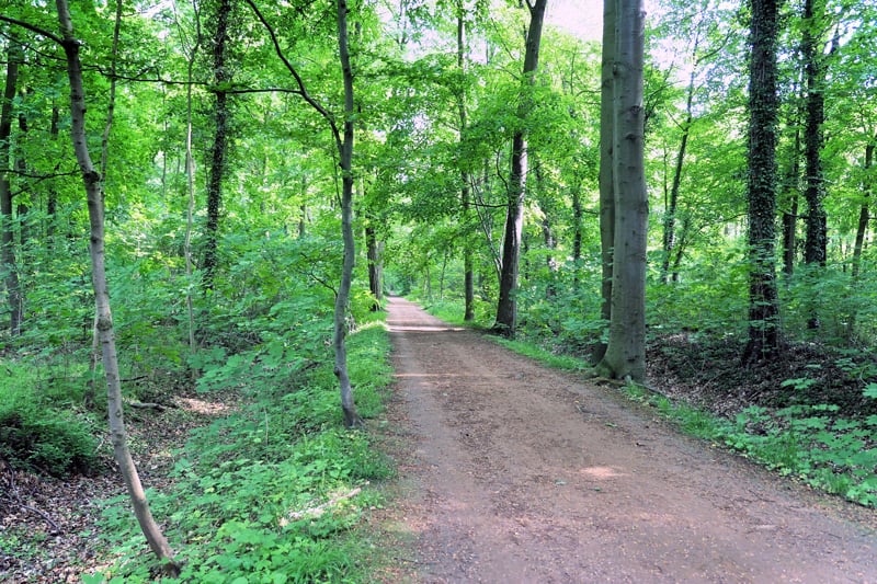 Eilenriede in Hannover