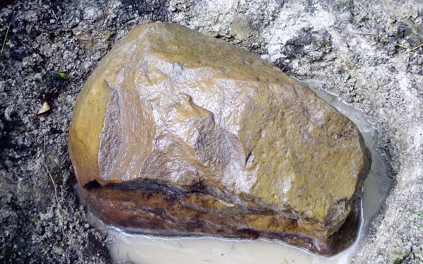 Neufunde von Eiszeit-Geschieben auf dem Deister-Kamm