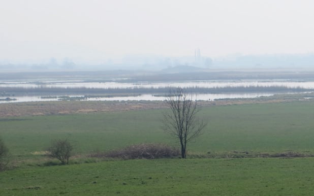 Die Fischfauna der Bäche und Gräben im Hochwasserrückhaltebecken Salzderhelden (Landkreis Northeim, Niedersachsen)